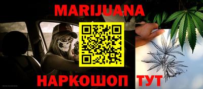 крисы Будённовск