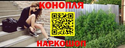 крисы Будённовск