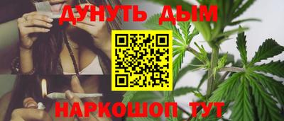 крисы Будённовск