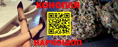 крисы Будённовск
