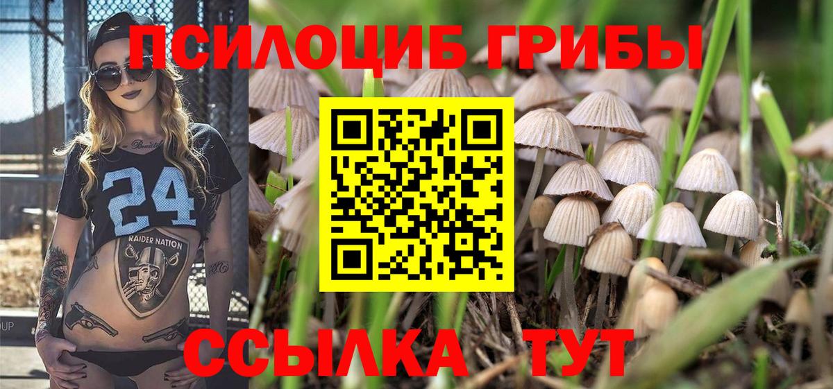 Галлюциногенные грибы Magic Shrooms Луга